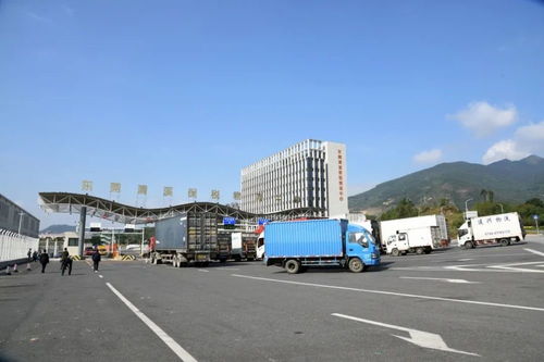 累計(jì)進(jìn)出區(qū)貨值超1884億元 清溪保稅物流中心迎來(lái)封關(guān)運(yùn)行四周年，技術(shù)進(jìn)出口成亮點(diǎn)