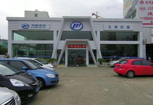 車主請(qǐng)擦亮眼睛 近年五大汽車銷售公司跑路案件，新車秒變“黑車”